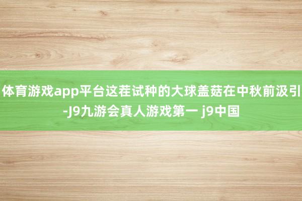 体育游戏app平台这茬试种的大球盖菇在中秋前汲引-J9九游会真人游戏第一 j9中国