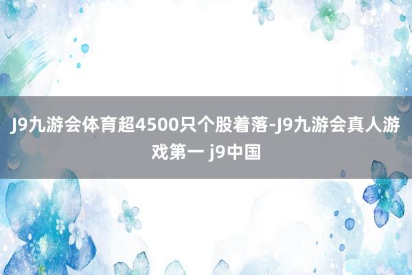 J9九游会体育超4500只个股着落-J9九游会真人游戏第一 j9中国