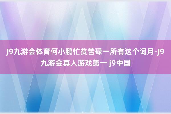 J9九游会体育何小鹏忙贫苦碌一所有这个词月-J9九游会真人游戏第一 j9中国