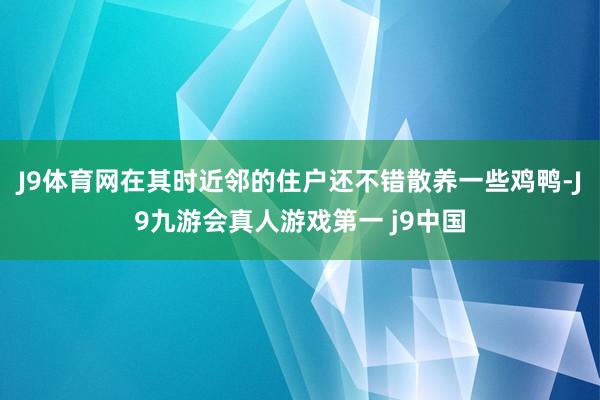 J9体育网在其时近邻的住户还不错散养一些鸡鸭-J9九游会真人游戏第一 j9中国